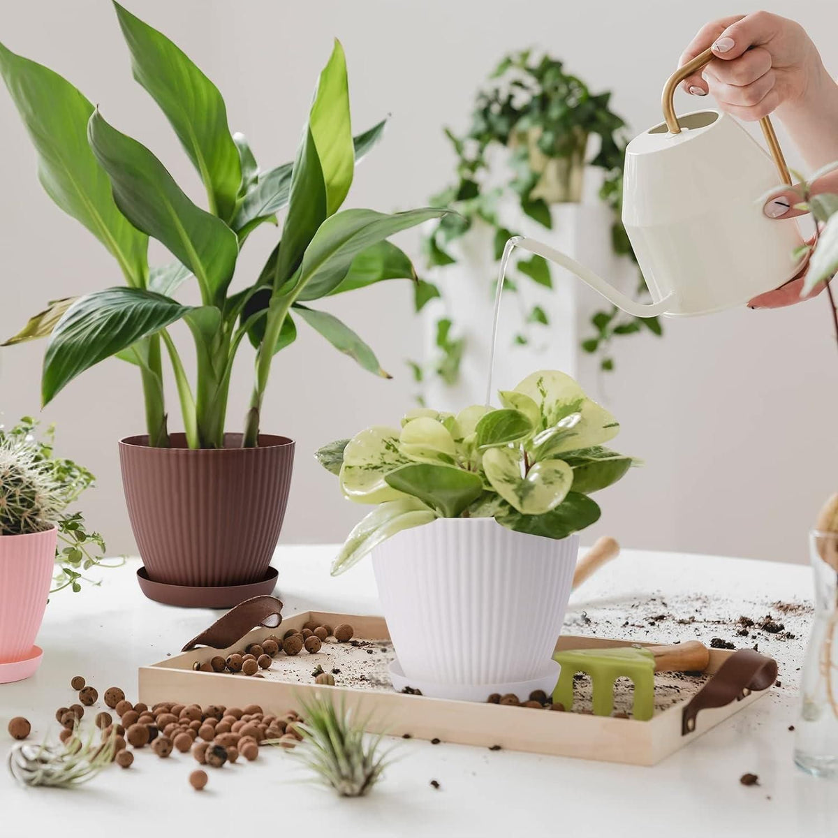 Round Plastic Flower Pot with Drainage Tray