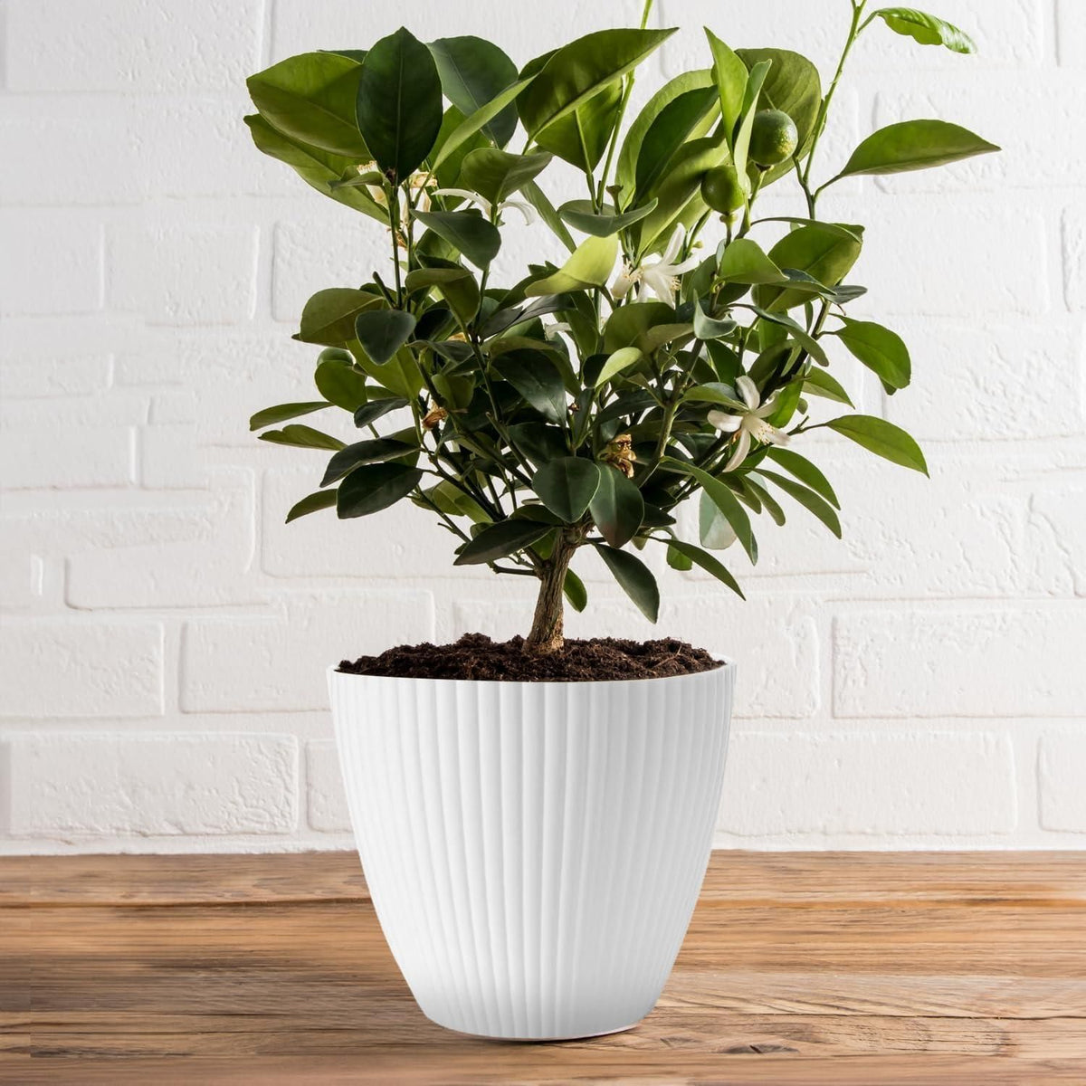 Round Plastic Flower Pot with Drainage Tray