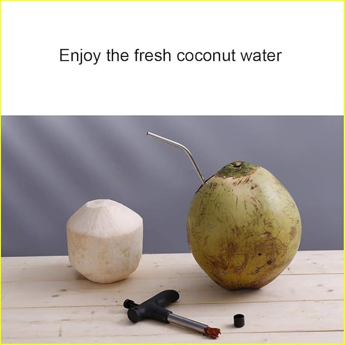 Stainless Steel Coconut Opener with Straw & Cleaner Stick