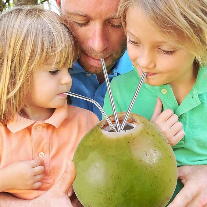 Stainless Steel Coconut Opener with Straw & Cleaner Stick